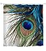 Goodbath Peacock Shower Curtain,Peacock Feather Eye Waterproof Fabric Bathroom Shower Curtains,72 x 72 Inch, Colorful