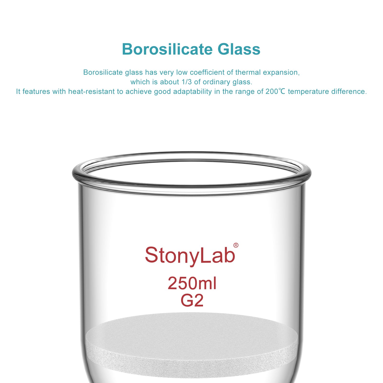 StonyLab Glas Büchnertrichter, Borosilikatglas Buchner Filtertrichter mit mittlerer Fritte(G2), 76mm Scheibendurchmesser, 80mm Tiefe, mit 24/40 Standard Taper Innengelenk - 250ml