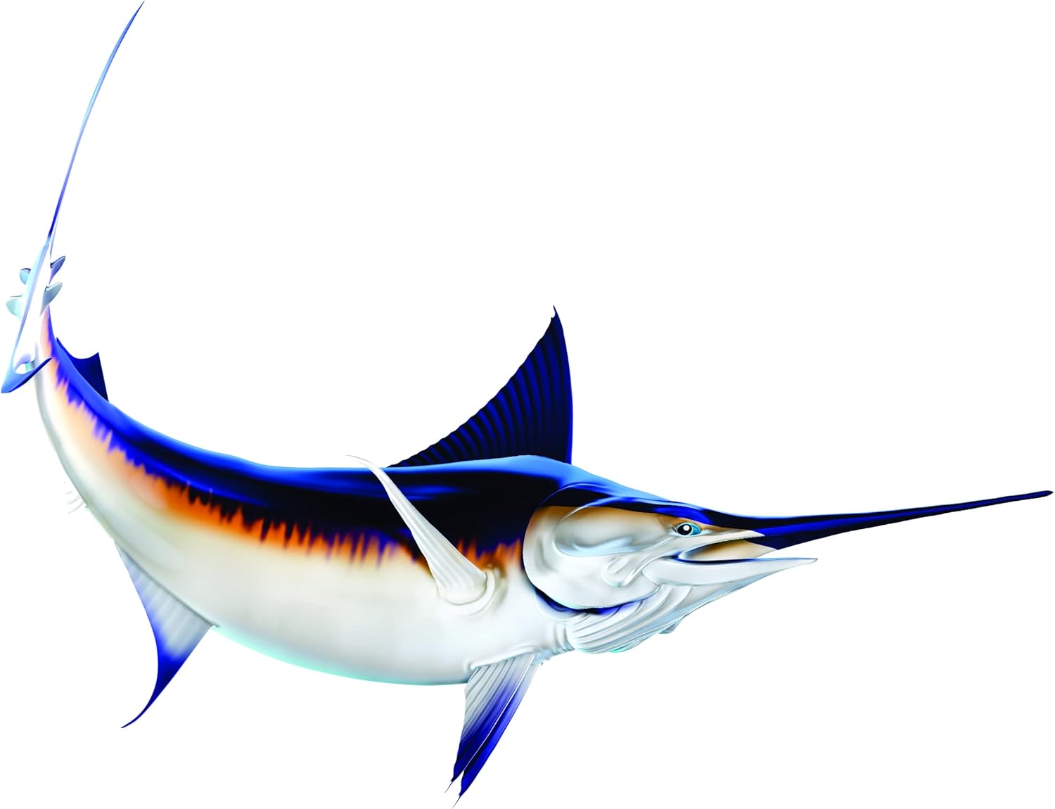 Sword Fish Beautiful Fish Decal | Fishing Decal for Boat, Car, Vehicle, Truck Etc. | Waterproof Vinyl Sticker | Many Sizes & Styles Available | 12" to 40" by Digital Fish Art (Large, Position 4R)