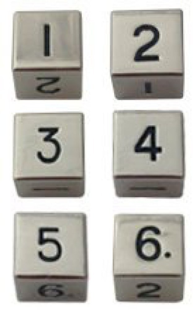 Metal Dice Set: 6 d6 16mm Dice: Silver
