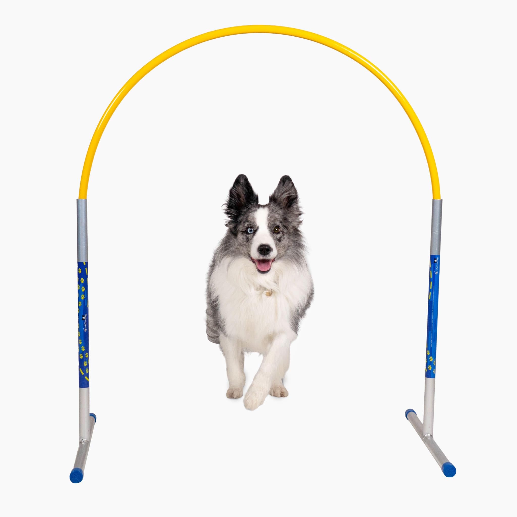 Hoopers Agility Hoops – NADAC Hoopers Agility Hoops senza barra centrale (confezione grande)