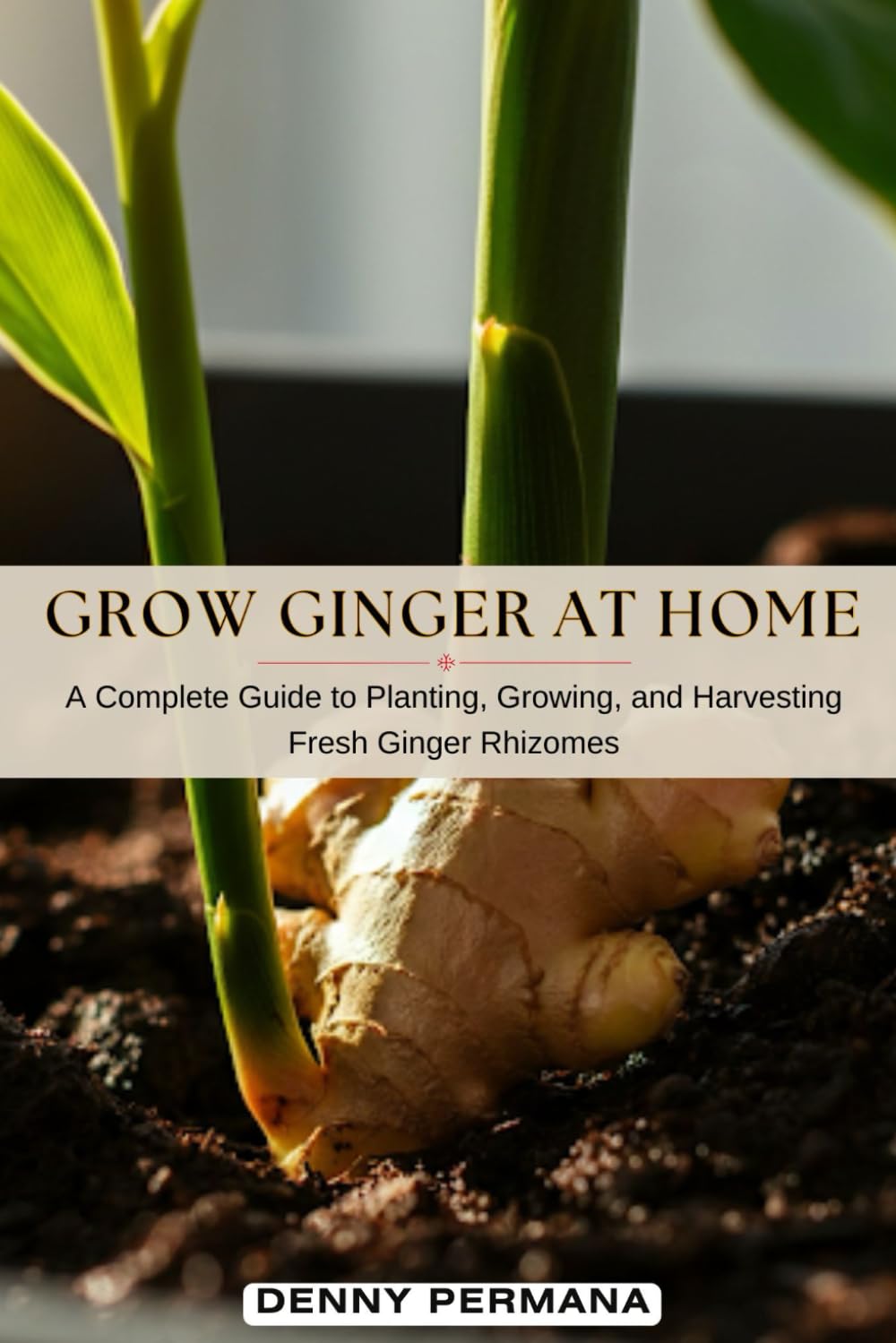 Grow Ginger at Home: A Complete Guide to Planting, Growing, and Harvesting Fresh Ginger Rhizomes
