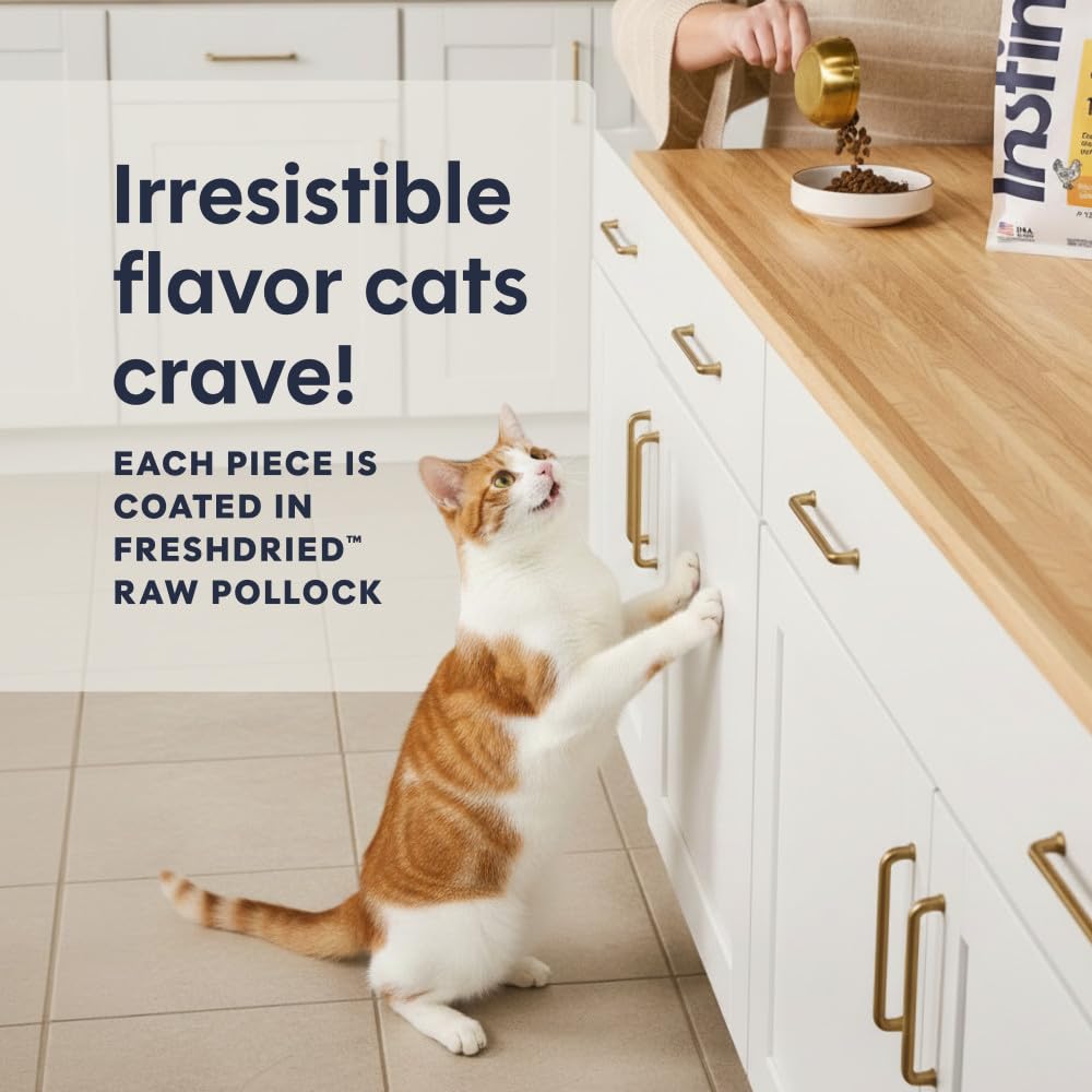 Instinct Receta Original sin Grano Natural seco Cat Alimentos por la Naturaleza de la Variedad | Croquetas crudas con pollo sin jaula para músculos fuertes, salud digestiva y piel y pelaje saludables, sin cereales