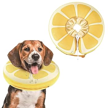 ベラ・ザ・マウス シリーズ 全8冊揃い ベラ・ザ・マウス シリーズ 全8冊揃い ベラ・ザ・マウス