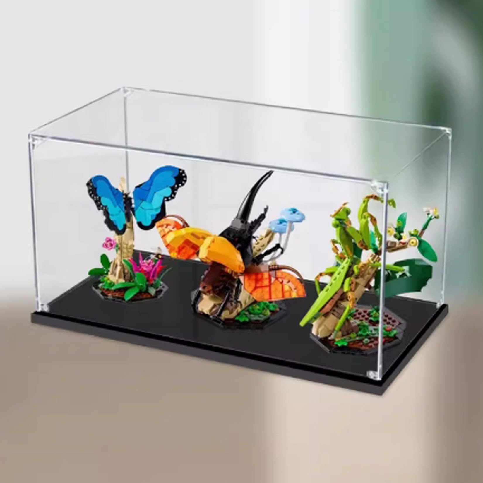 Amazon.com: Acrylic Display Case for Lego 21342 Insect Series