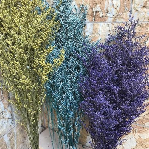 Ramo de flores secas naturales para decoración del hogar miniatura 2