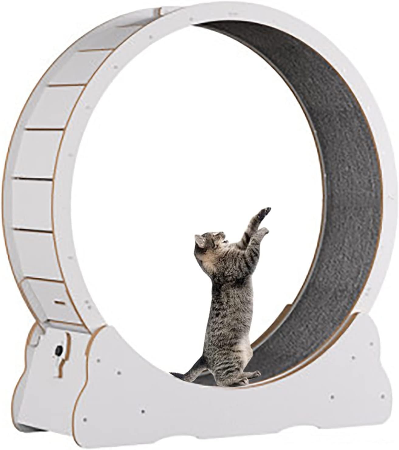 DAKAJA White Cat Treadmill Wheel for Indoor Cats, Small