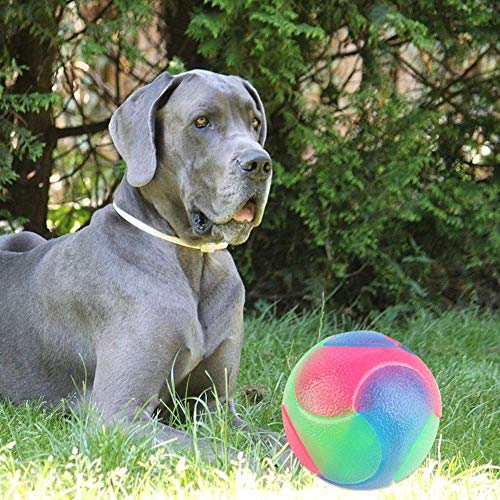 WinnerEco-US Bolas de cachorro com elástico piscando bola interativa escura para animais de estimaçã