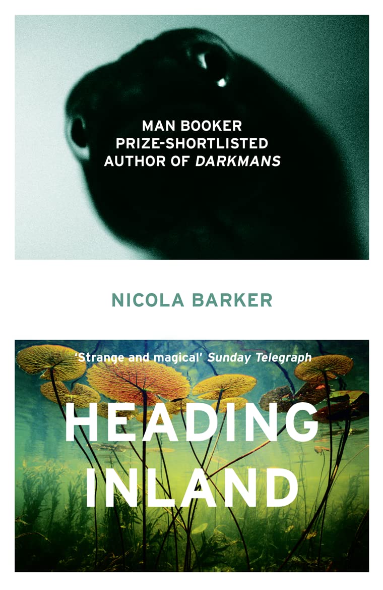 HEADING INLAND: A Darkly Funny Collection of Magical Realism and Urban Satire