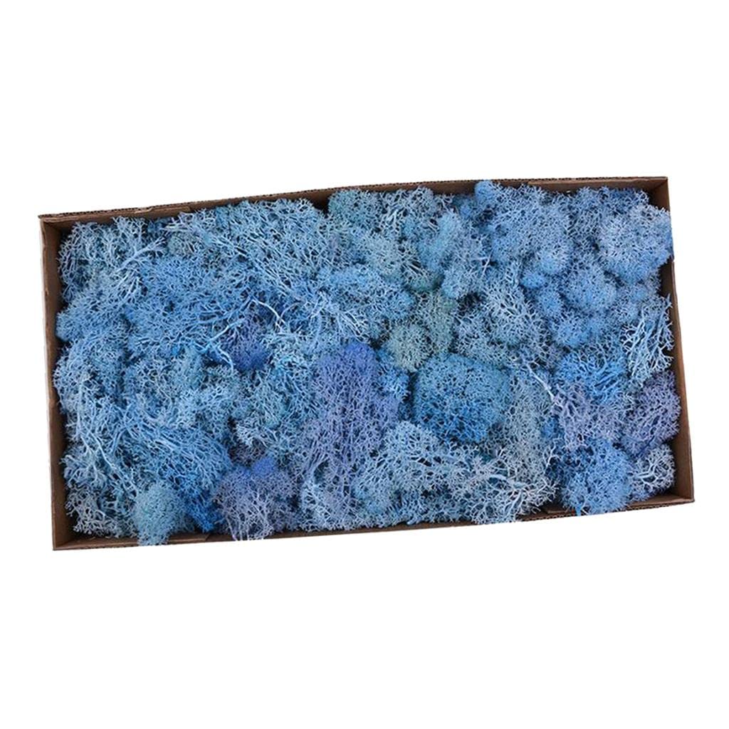 Reindeer Fiore Artificiale Fiore Preservato Fiore Secco Fiore Liner Muschio Naturale Stabilizzato con Adatto per Decorazione Domestica, Blu