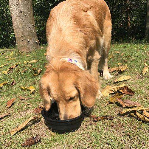 Yangbaga Ciotola Pieghevole per Grande Cane