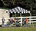 PatioPlus 10x10 SL Pop-up Canopy Checkered Flag Cover Black Roller Bag
