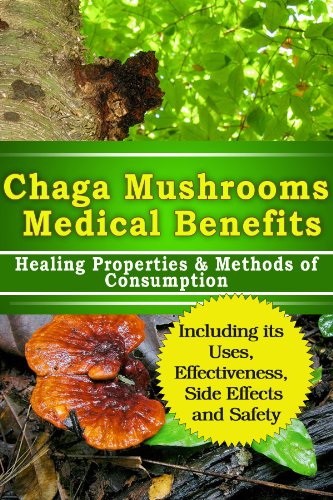 Chaga Mushroom Medical Benefits Healing Properties Methods of Consumption