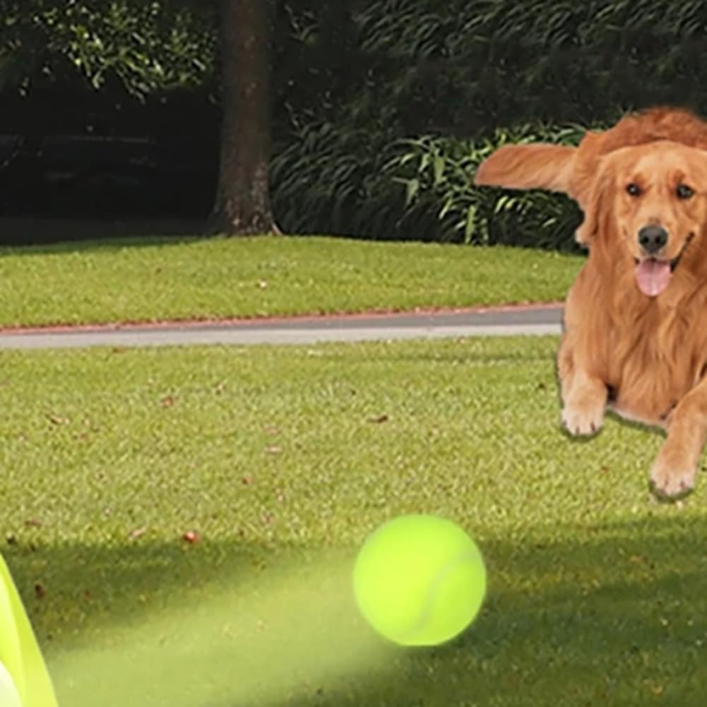 Máquina Interactiva Divertida Catapulta Interactiva Divertida Lanzador de Pelotas de Tenis para Perros Recargable Persigue A Perros Juguetes Automáticos A