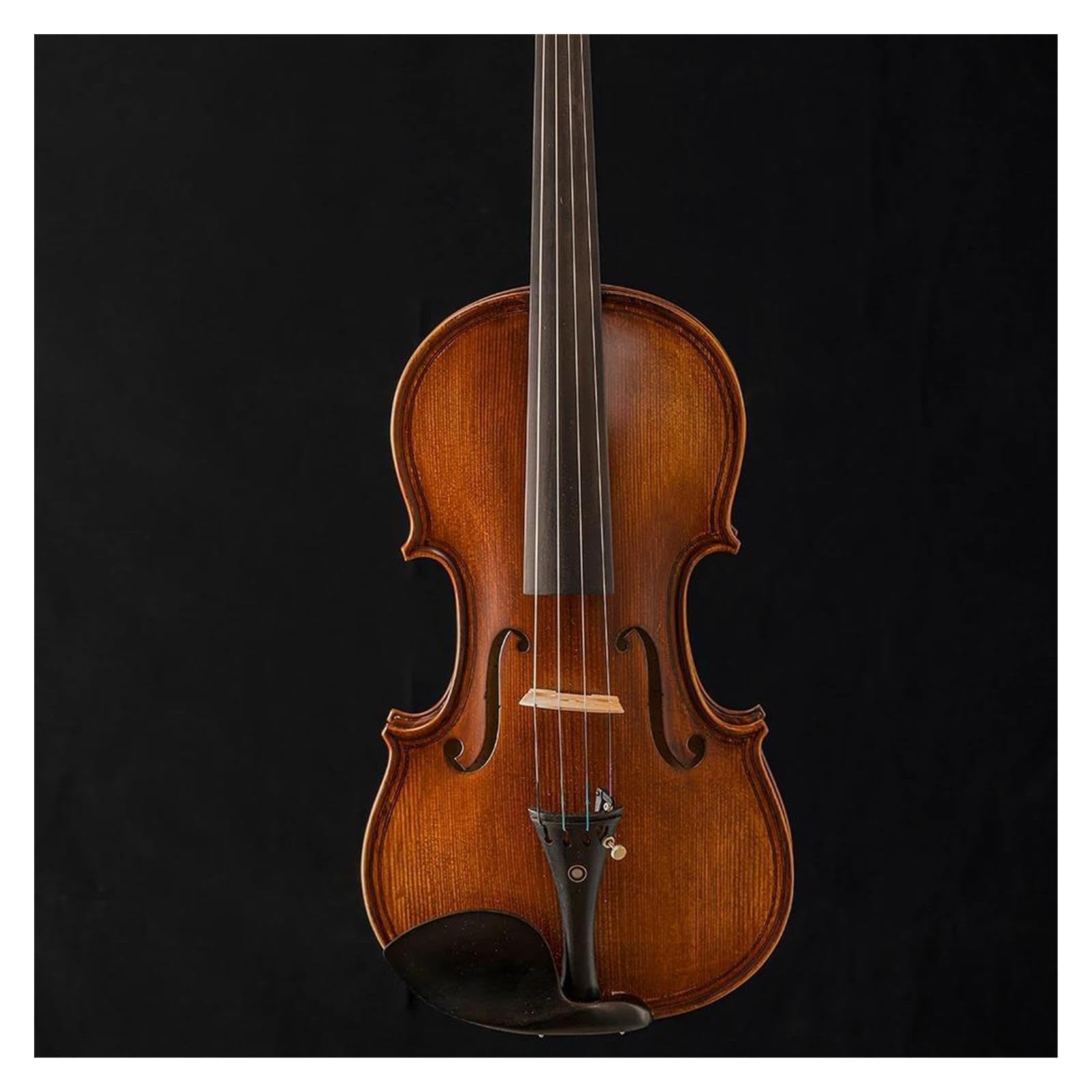 Praktische Violine 4/4 Violine