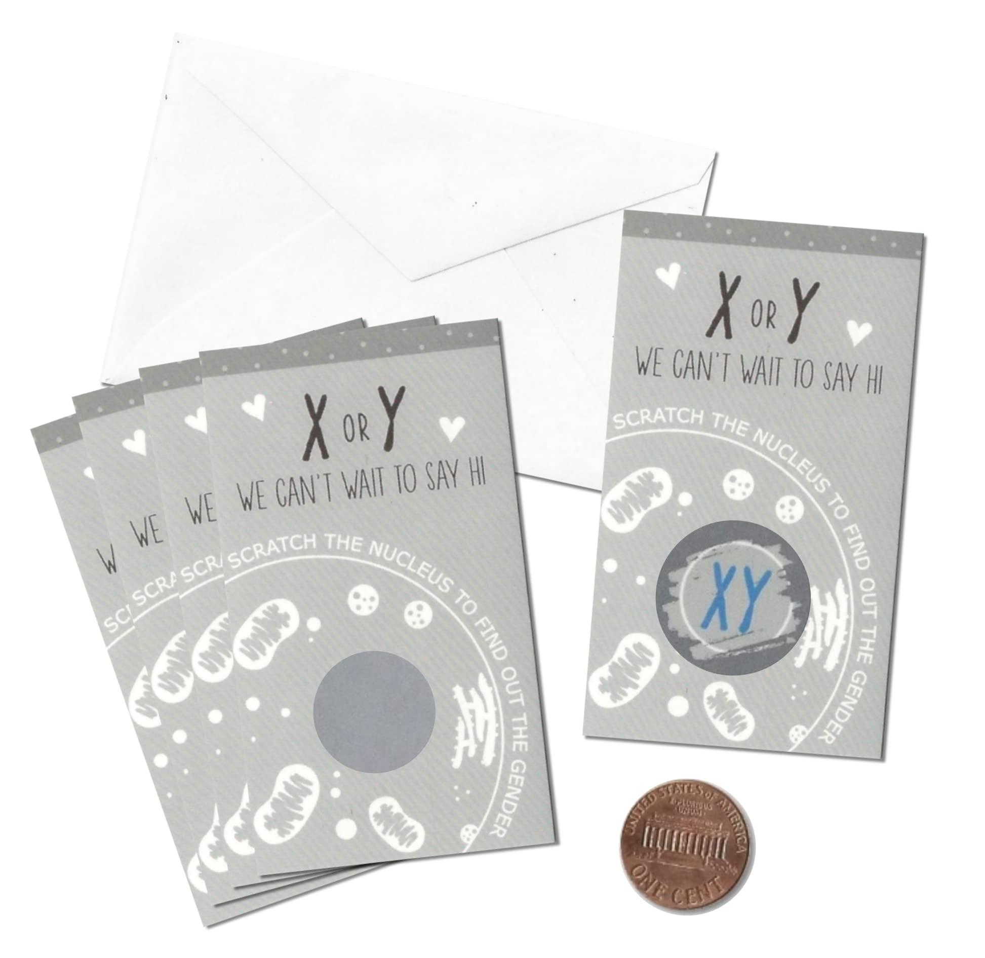 Nerdy Words X or Y Chromosome Science Gender/Sex Reveal Mini Scratch Cards (Pack of 24) Scratch the Nucleus Baby Announcement (Male, Gender)