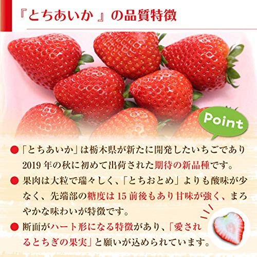 Amazon.co.jp: とちあいか いちご 約240g×2パック DX 苺 栃木県産 果実
