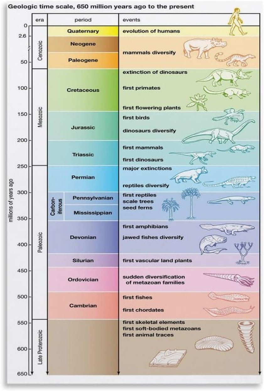 Sitrmgh Men's Educational Posters Geologic Time Scale Science Education Knowledge Poster For Room Aesthetics Meatl Tin Sign Wall Art 8X12 Inch