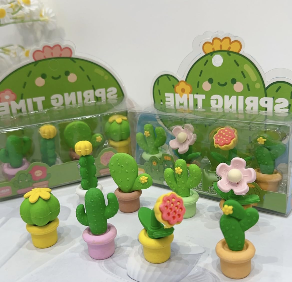 Amazon | Adam Victor クリエイティブサボテン消しゴム - 8種類