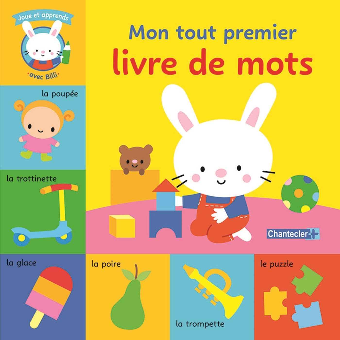 Mon tout premier livre de mots - Joue et apprends avec Billi