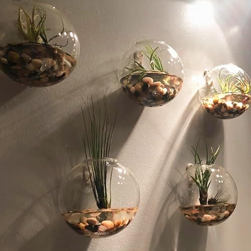 Miniatura 7 de GASPRO Rocas de río de 8 libras y canicas de vidrio plano de 10 libras para jarrón, plantas, suculentas, paisajismo, jardín y más