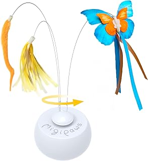 Sponsored Ad - Migipaws Tunnel Cat Toys, Kitten Indoor Addict Interactive Movie with Automatic Butterfly Shadow Play, Inno...
