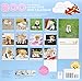 Boo The World's Cutest Dog 2015 Calendar
