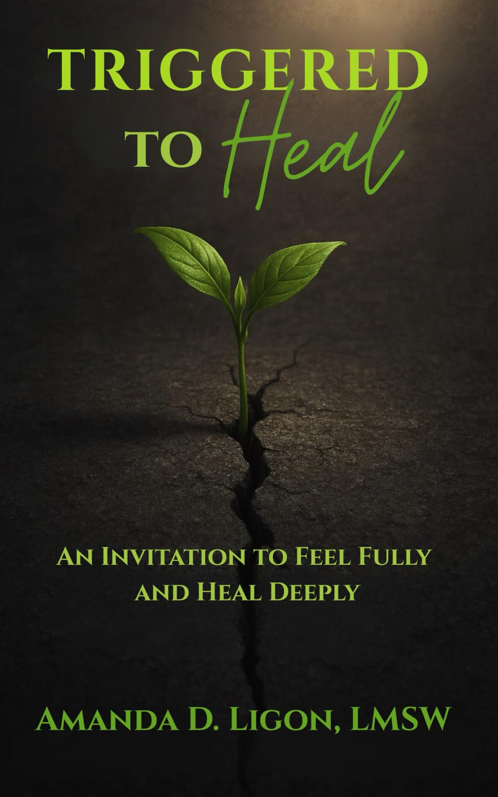 Triggered to Heal: An Invitation to Feel Fully and Heal Deeply