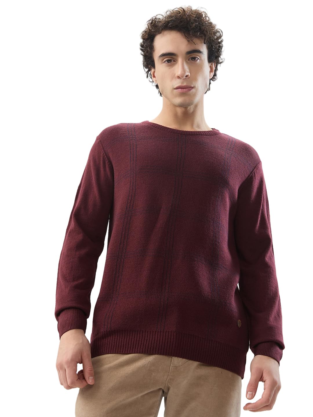 Men Regular Fit Checks Pattern Acrylic Wool Blend Round Neck Full Sleeve Casual Sweater Dark Maroon-image-37