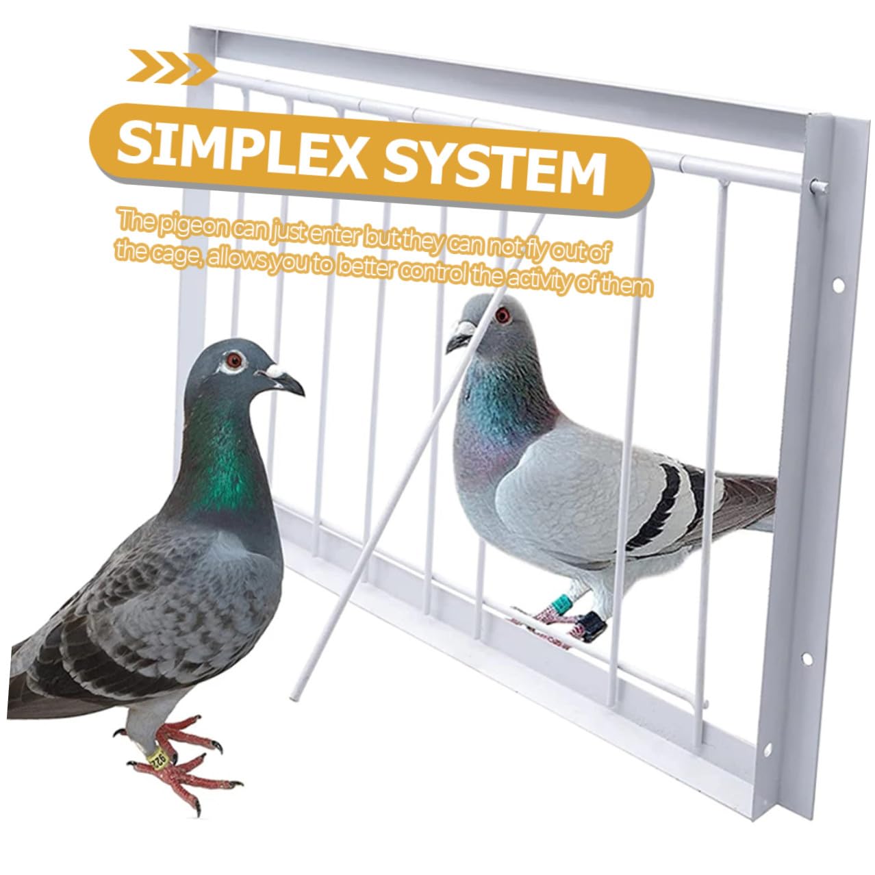 ibasenice 45 Piezas Barras de Hierro Forma de T para Puertas de Jaulas de Sistema Unidireccional para Entrada de Aves Accesorios Prácticos para Control de Caza y Cría