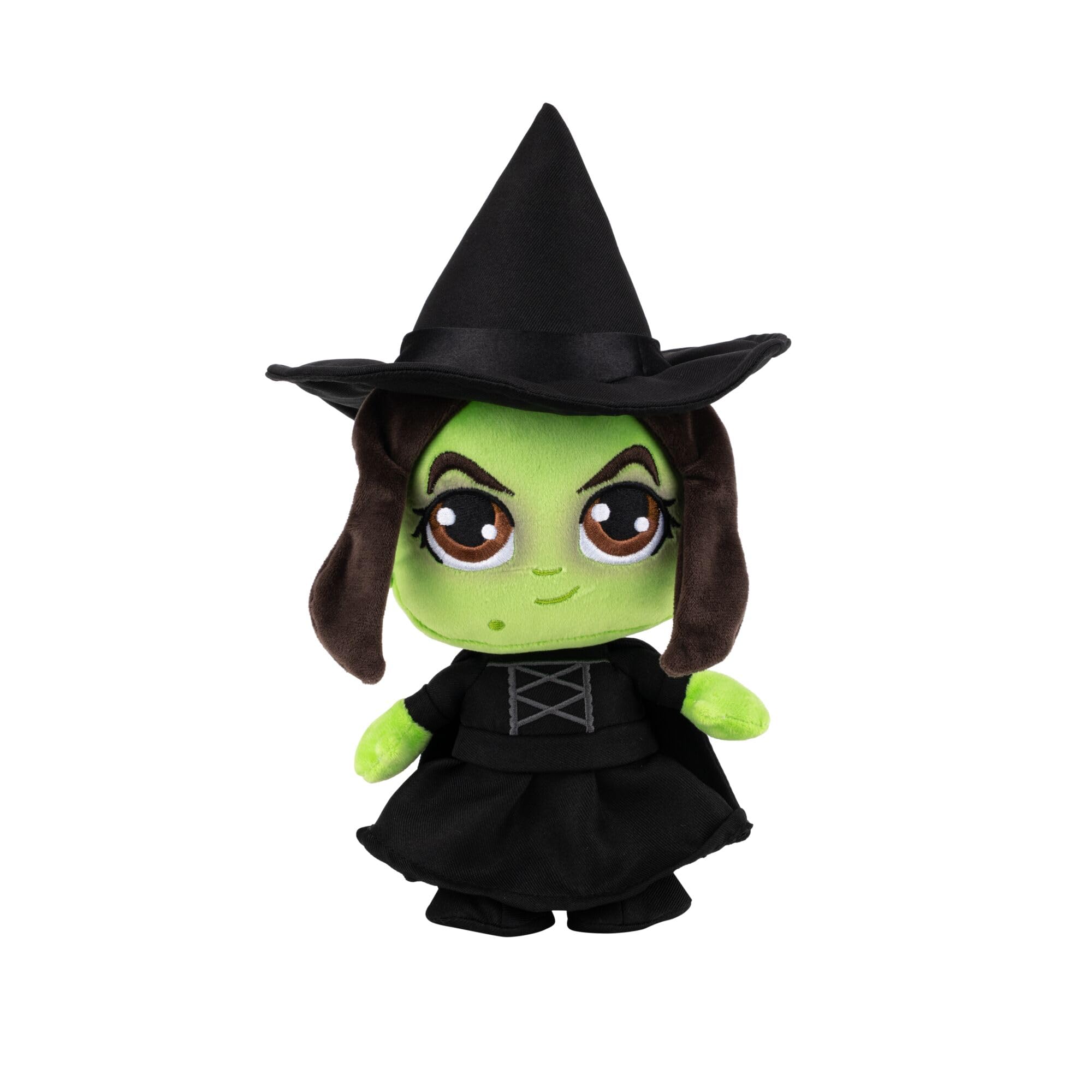 Amazon.com: Jazwares Warner Bros. 8-Inch Wicked Witch Plush from