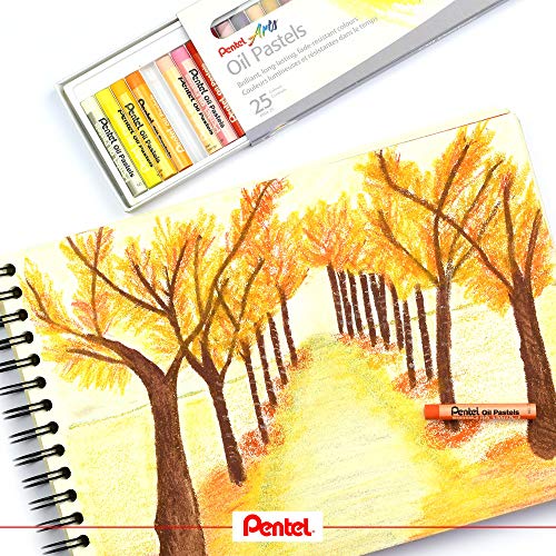 Giz Pastel Oleoso, Pentel, Arts, Phn-12, 12 Cores 6 61bkSxkhceL