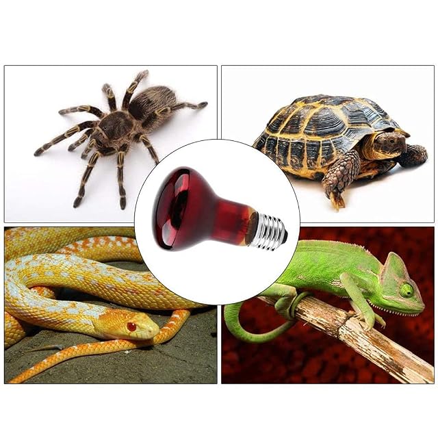 Foto 6 de 7 de ANCLLO 2 Bombillas de calefacción para Reptiles, lámpara de Calor infrarroja Duradera