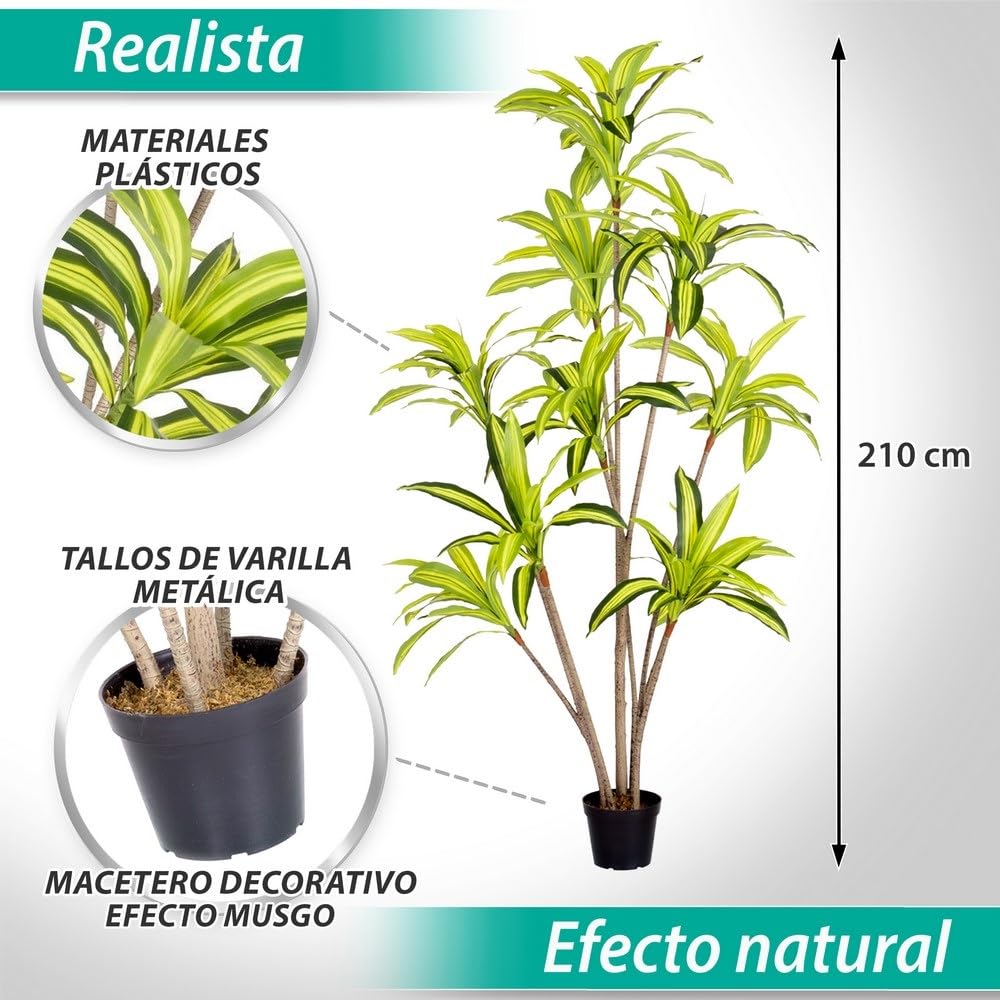 LOLAhome Planta Artificial Dracena para Interior y Exterior, 210 cm