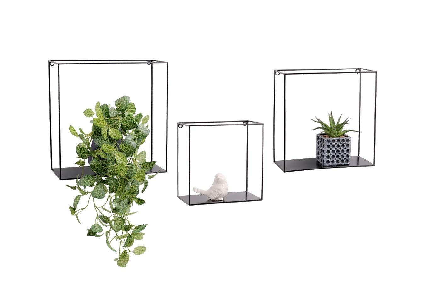 Buy LIFA LIVING Set of 3 Wall Shelves, Square Floating Bookcases