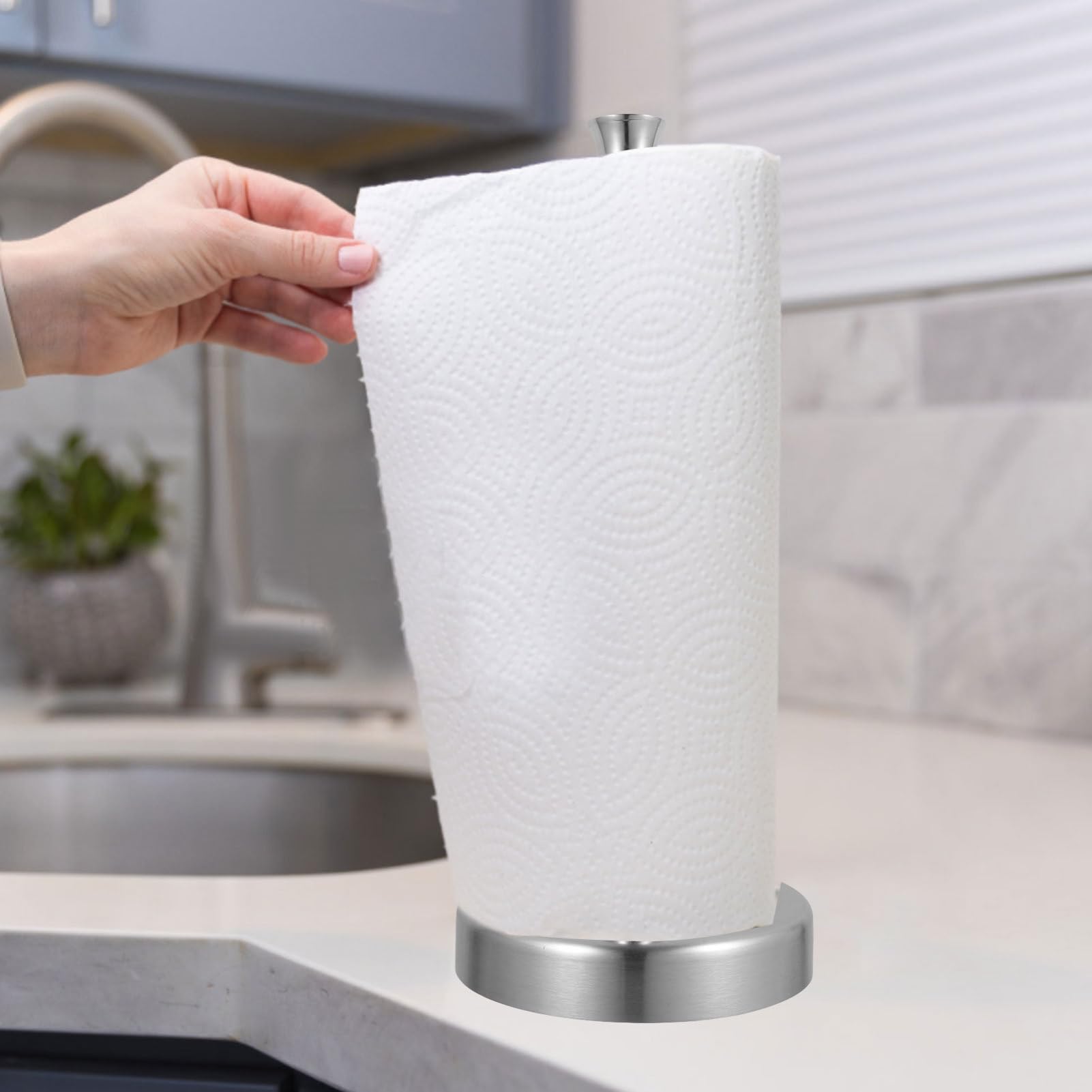 SOLUSTRE 2 Pezzi Porta Pezzi da Cucina in Acciaio Inossidabile, Design Verticale per Asciugatutto e Pellicola, Salvaspazio per Piano Cucina