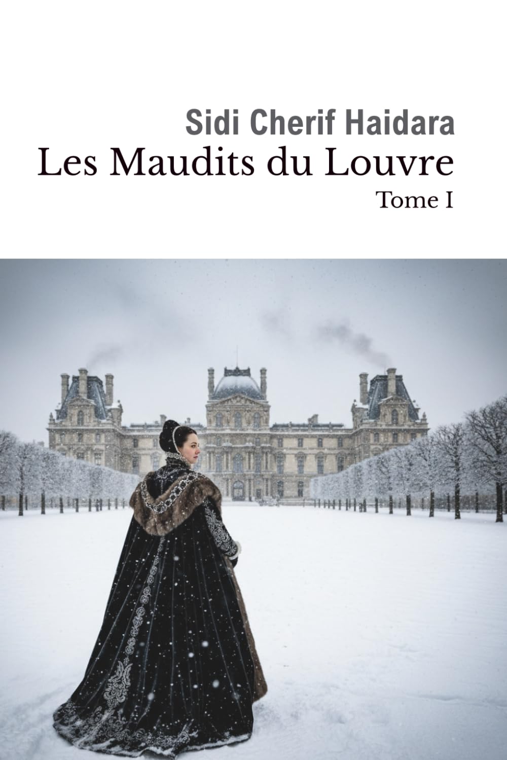 Les Maudits du Louvre: La saga des fils maudits de Catherine de Médicis (Les Valois d'Angoulême)