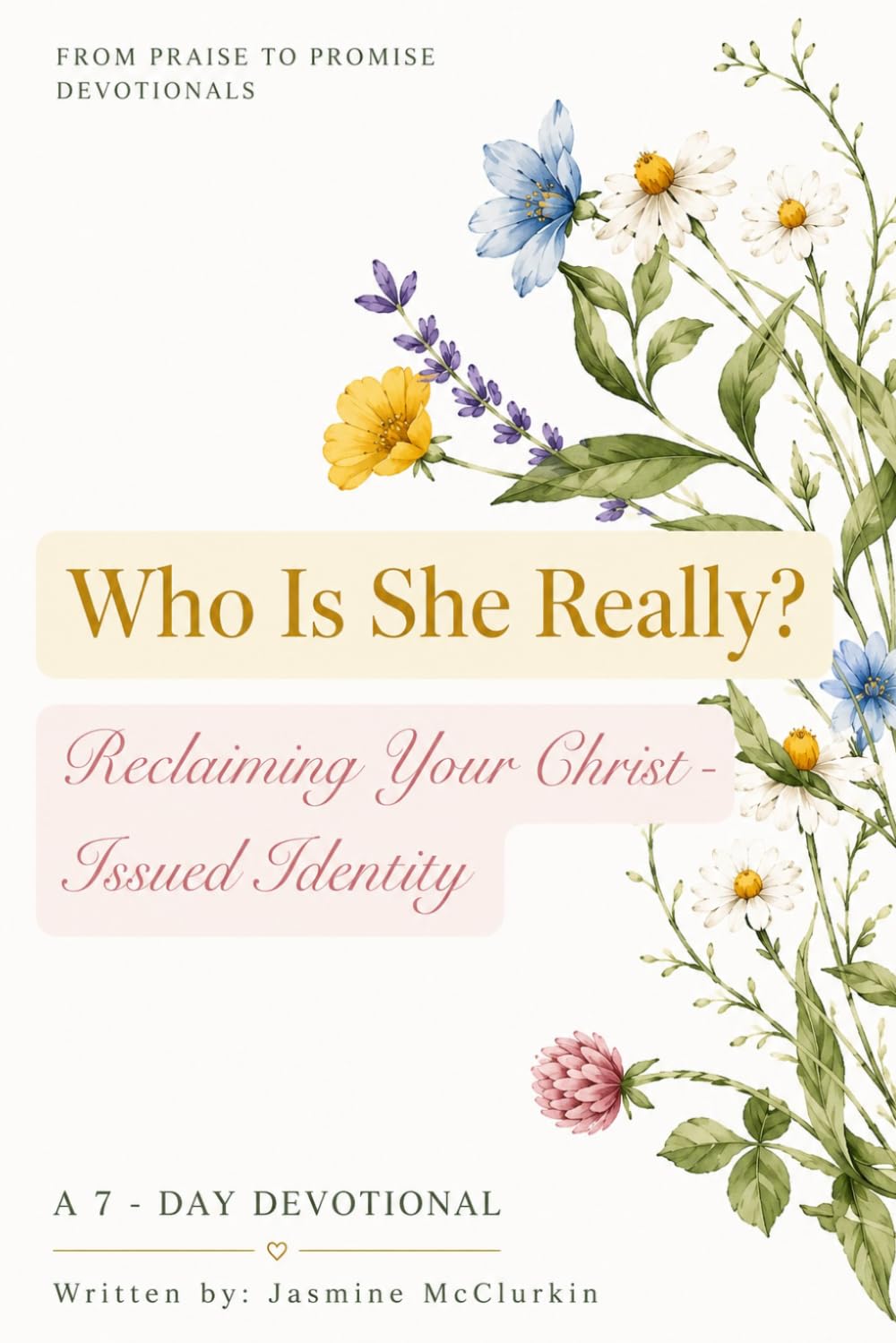 Who Is She Really?: Reclaiming Your Christ-Issued Identity (From Praise to Promise)