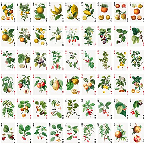 Fruits And Berries Playing Cards (Poker Deck 54 Cards All Different) Vintage Antique Botannical Books Illustration By Pierre Redoute #TOP1