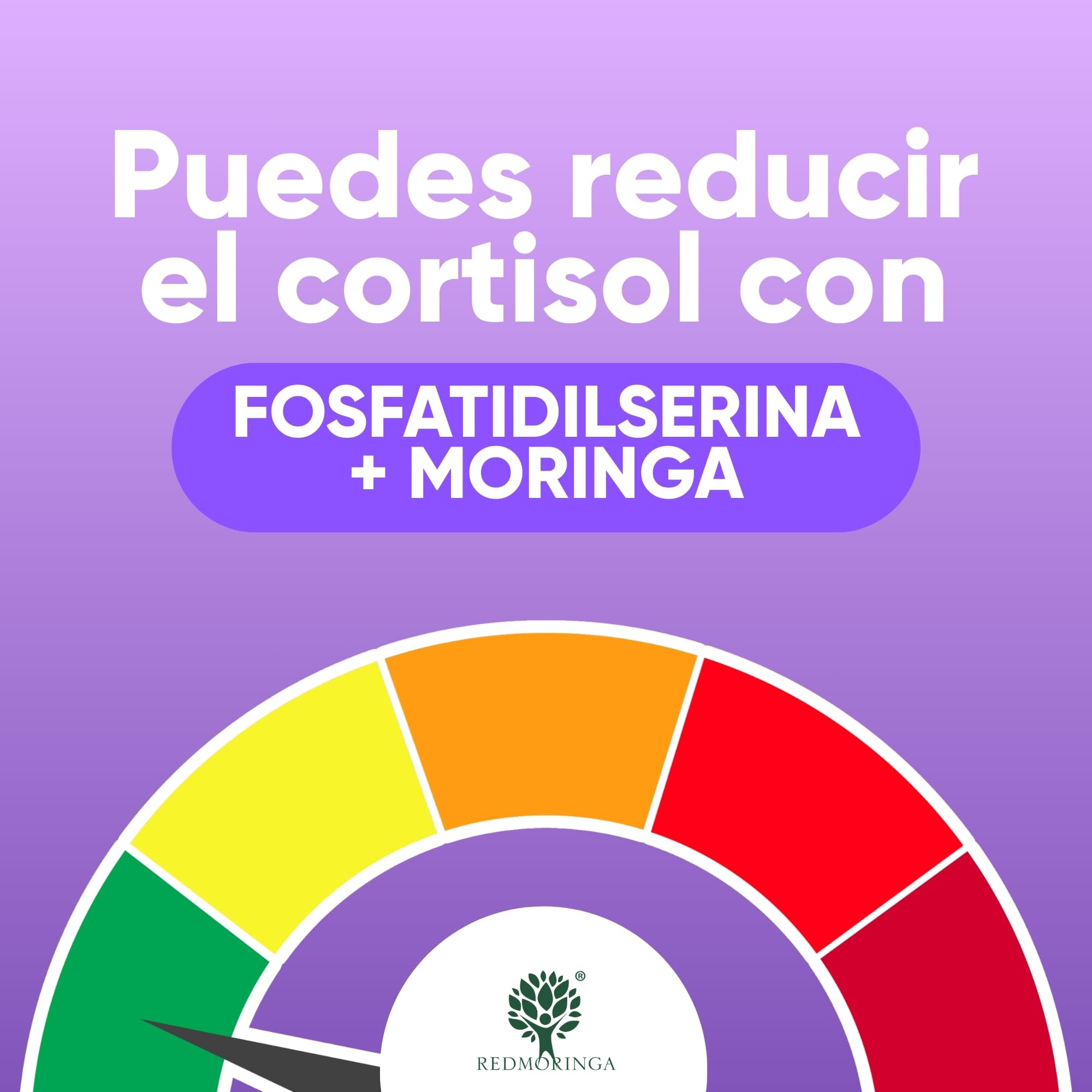 LOW CORTISOL – Fosfatidilserina 450 mg + Moringa Oleifera BIO | Para bajar el cortisol | Suplemento para memoria y concentración | 150 Cápsulas Vegetales Made in Italy | RedMoringa