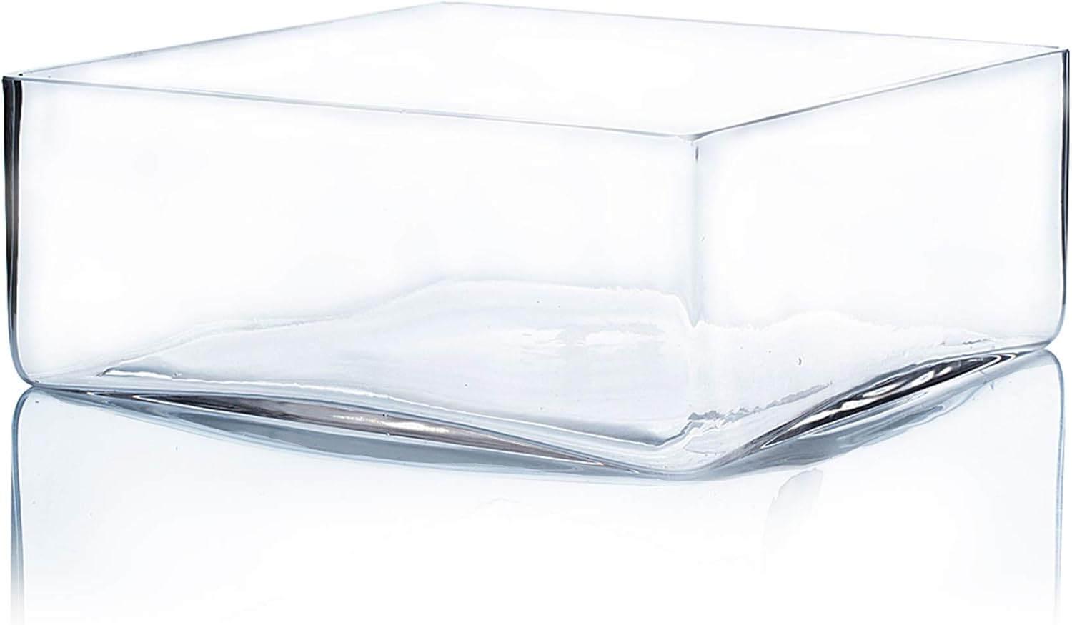 WGV Square Block Glass Vase, Length 8", Height 4", Clear Large Planter Terrarium, Floral Container for Wedding Party Event, Home Office Decor, 1 Piece