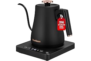 Gooseneck Electric Kettle with Precision Temperature Control