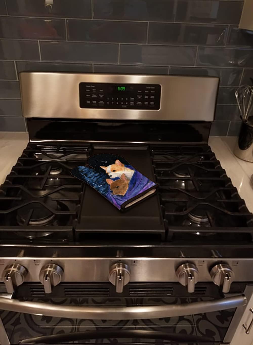 Caroline's Treasures SS8513OVMT Starry Night Chihuahua Oven Mitt Heat Resistant Thick Oven Mitt for Hot Pans and Oven, Kitchen Mitt Protect Hands, Cooking Baking Glove