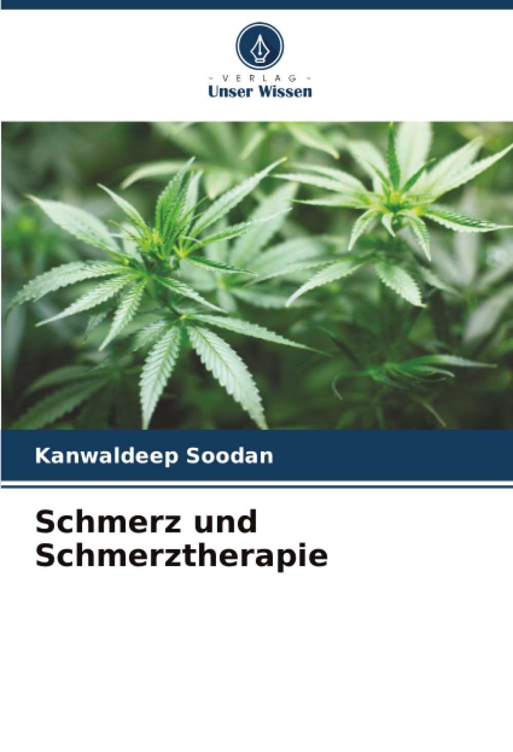 Schmerz und Schmerztherapie
