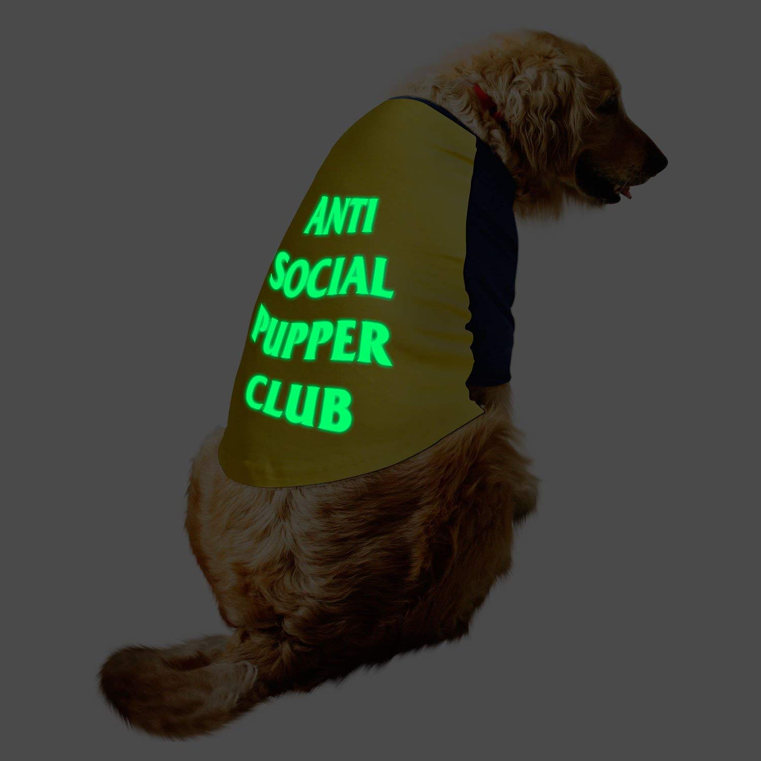 Ruse Pet Clothes ASPC Glow in The Dark Printed Full Sleevess Round Neck Raglan Dog Streetwear T-Shirt/Tees Apparel for Dogs./Large (Full Grown Desi/Stray, Doberman etc.) (B087C62QB3) Amazon Price History, Amazon Price Tracker