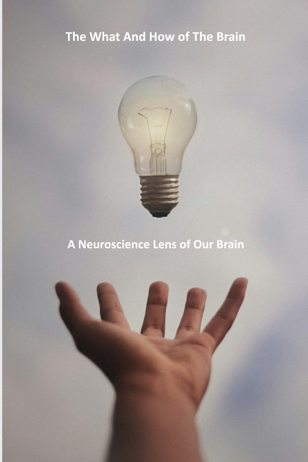The What and the How of the Brain: A selection of Neuroscience aspects of the Brain