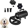 ZanGe Pet Dog Cat Motorcycle Auto Truck Dryer Snow Blower 2800W Variable High Speed Air Force Accessories Snow Storm Blower Machine-A Powerful but Quiet with Flexible Hose