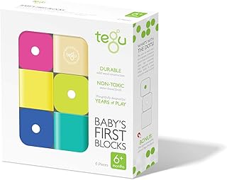 Tegu 6 Piece Magnetic Babyâ€™s First Building Blocks