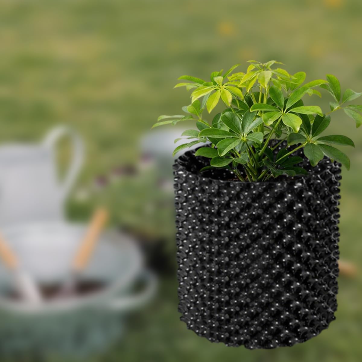 Amazon.com: Focefec 6 Gallon Air Pruning Containers, 6 Pack Plastic Plant  Pot, Air Pots for Plants for Vegetable Fruit, Gardening, Self-Planting Pots,  Planters Pots with Handle & Base, Size 11.8'' x 12.5'' :