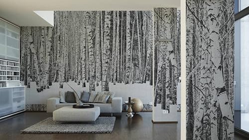 Miniatura 8 de CONCORD WALLCOVERINGS  Papel tapiz de pared Nature para dormitorio, árboles y bosques, blanco y negro, 146 pulgadas de ancho x 110 pulgadas de alto,